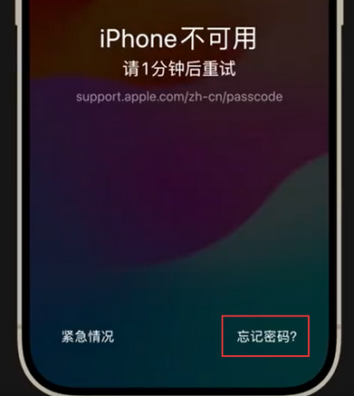 广宗苹果手机密码维修分享iPhone忘记了刚设置的密码 