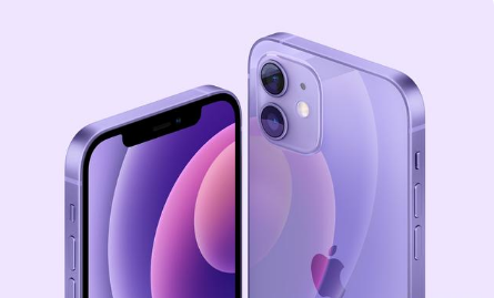 广宗苹果手机维修分享紫色版iPhone 12有什么技术亮点 